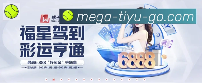 企业概况